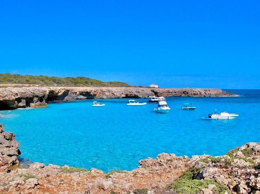 La Vall En Planta Baja Con Piscina Appartement